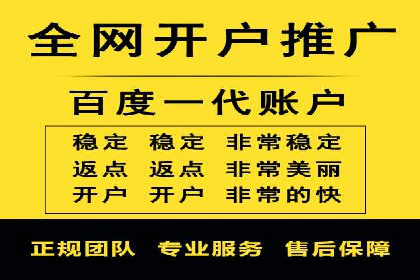如何在sem竞价托管中取得卓越效果——案例解读